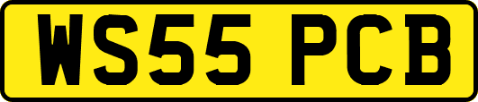 WS55PCB