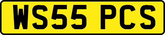WS55PCS