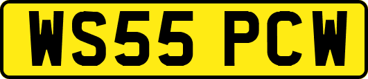 WS55PCW