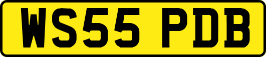 WS55PDB