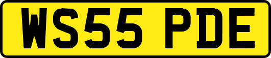 WS55PDE