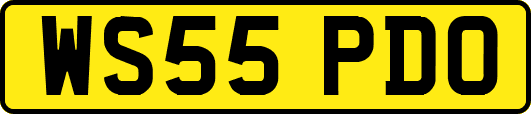 WS55PDO