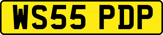 WS55PDP