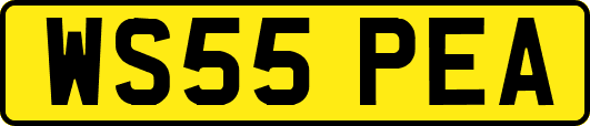 WS55PEA