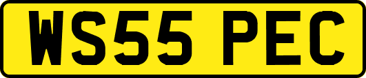WS55PEC