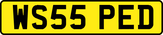 WS55PED