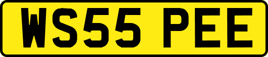 WS55PEE