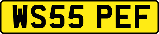 WS55PEF