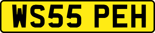 WS55PEH
