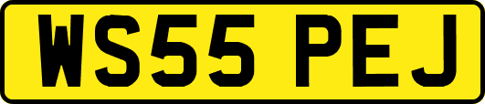 WS55PEJ