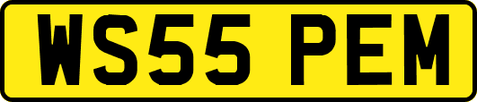 WS55PEM