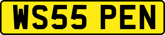WS55PEN