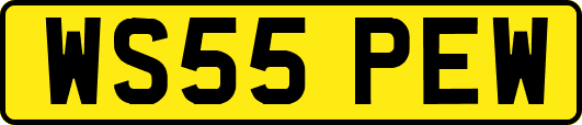 WS55PEW