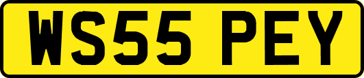WS55PEY