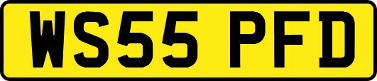 WS55PFD