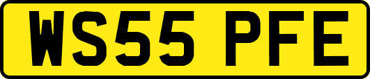 WS55PFE