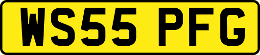 WS55PFG