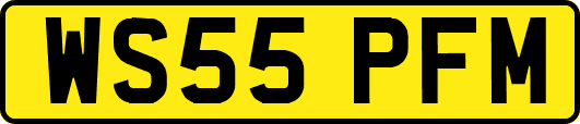 WS55PFM