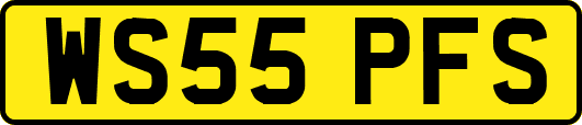 WS55PFS
