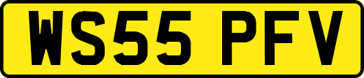 WS55PFV