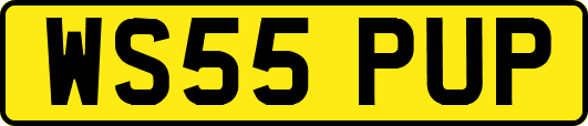 WS55PUP
