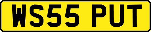 WS55PUT