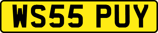 WS55PUY