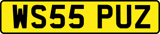 WS55PUZ