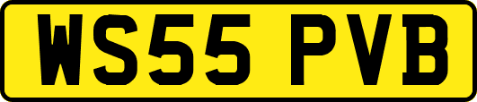 WS55PVB