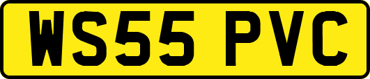WS55PVC