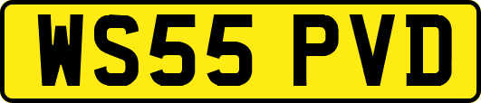 WS55PVD