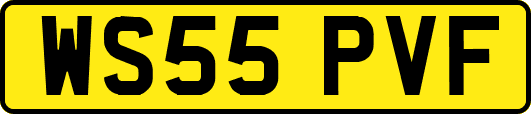 WS55PVF