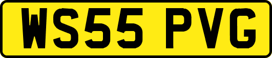 WS55PVG