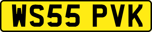WS55PVK