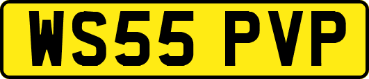 WS55PVP