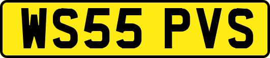 WS55PVS