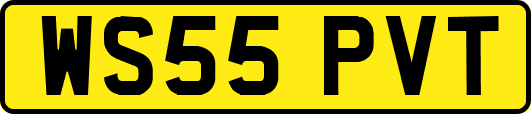 WS55PVT