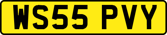 WS55PVY