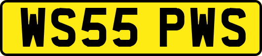 WS55PWS