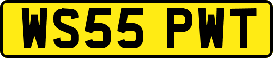 WS55PWT