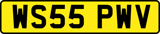 WS55PWV