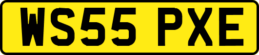 WS55PXE