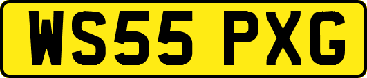 WS55PXG