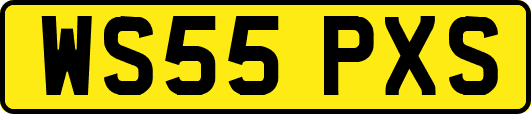 WS55PXS
