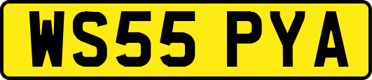 WS55PYA