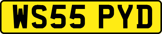 WS55PYD