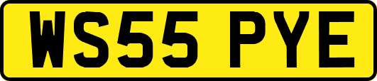 WS55PYE