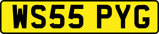 WS55PYG