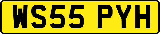 WS55PYH