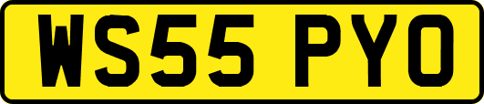 WS55PYO